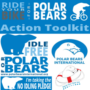 Take the Challenge for Polar Bears Poster